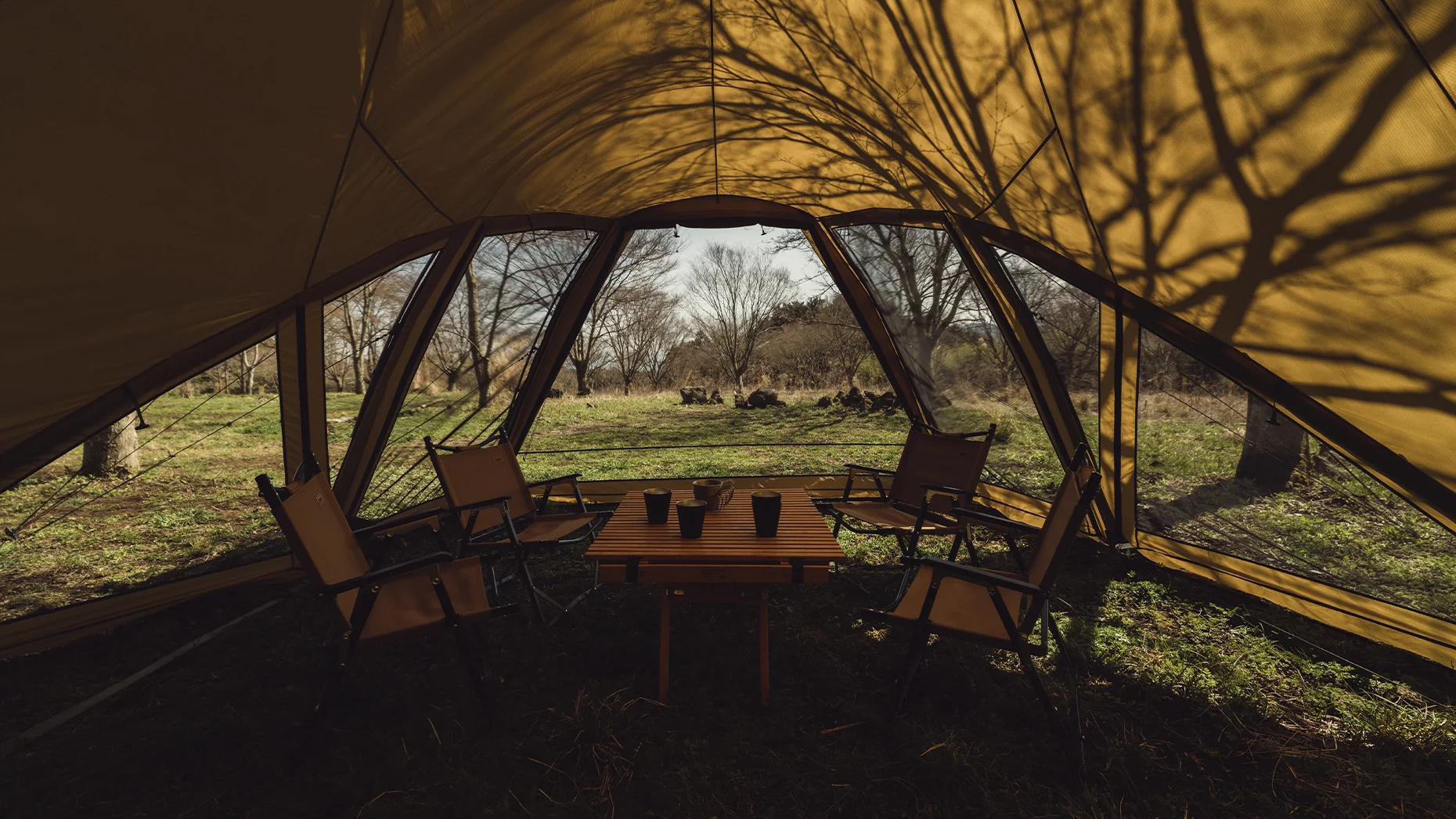 ゼインアーツ ロロ