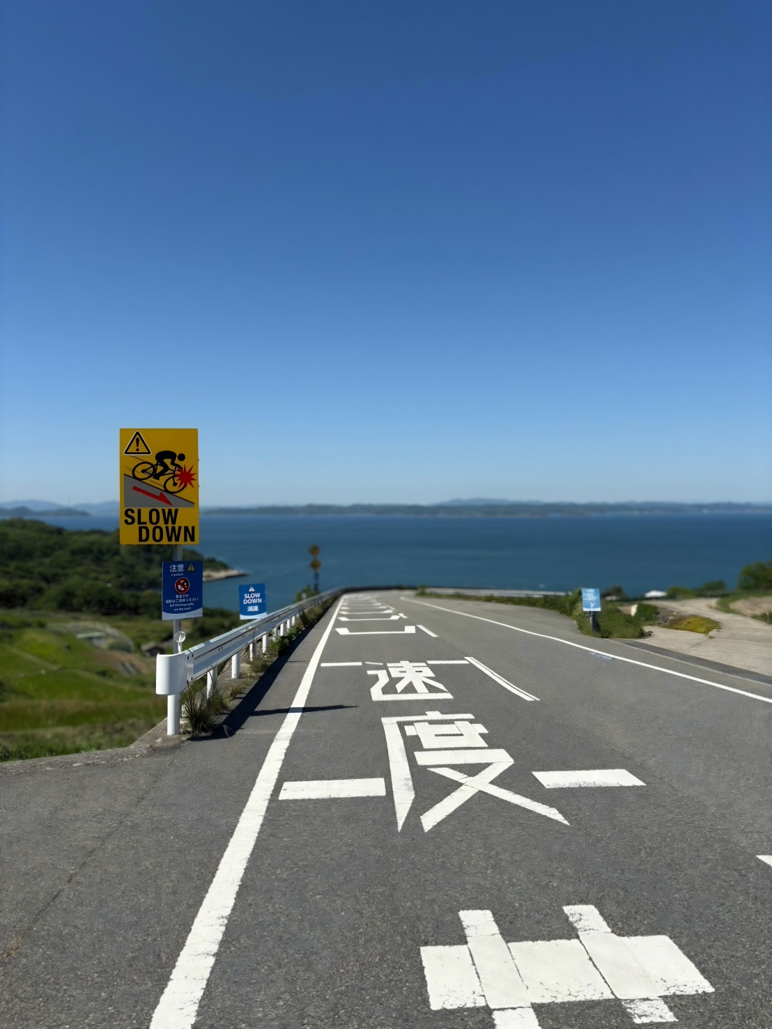 海へ飛び込む道